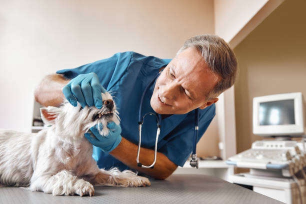 Best Emergency Denture Repair in Oakridge, OR