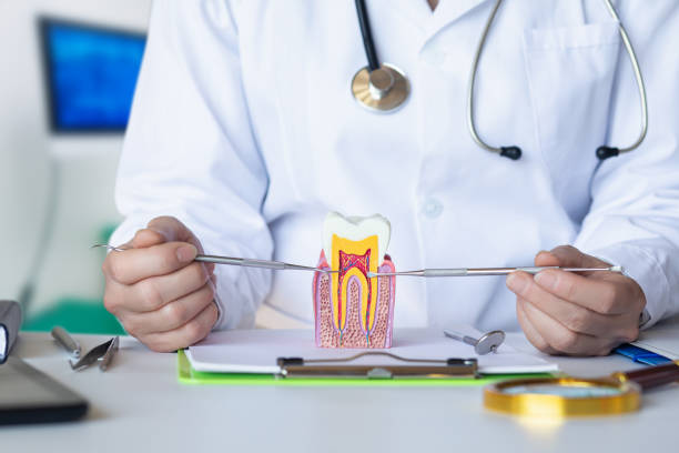 Best Emergency Tooth Extraction in Oakridge, OR
